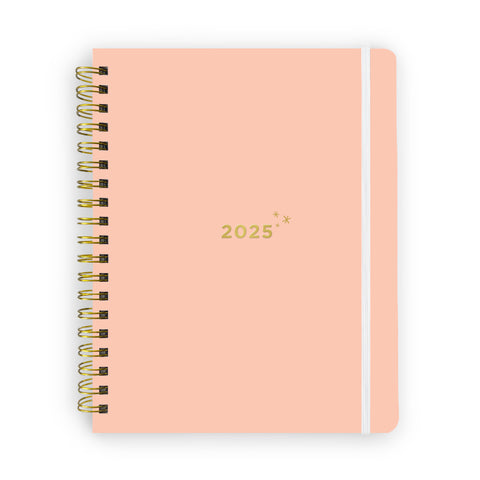 17-month 2025 reverie planner